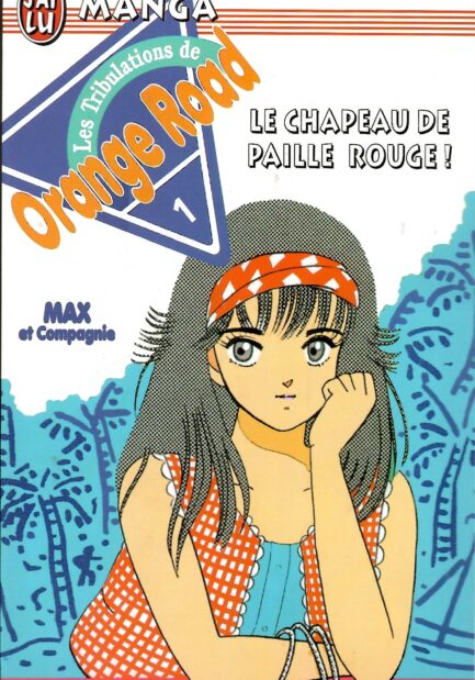 orange-road-max-et-compagnie-la-serie-complete-le-roman-cet-ete-la-occasion